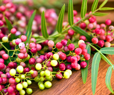 Pink Peppercorn