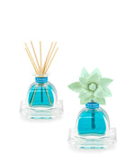 Petite Diffuser Duo