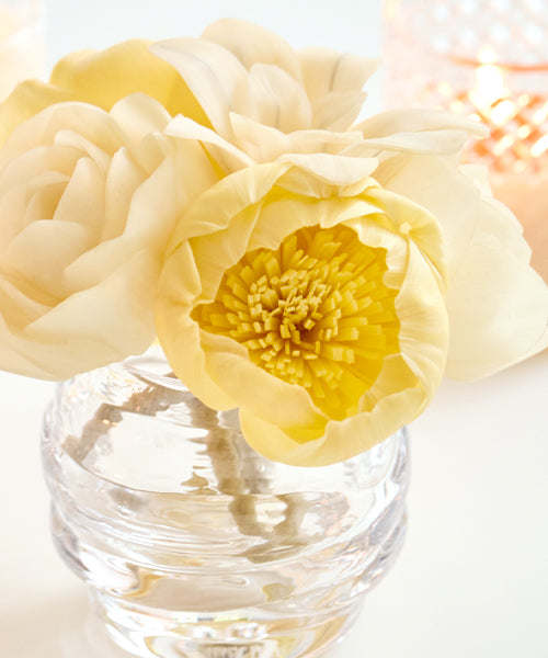 Mountain Peony Diffuser Flowers